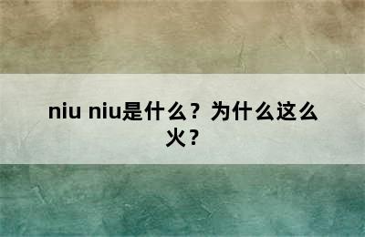 niu niu是什么？为什么这么火？